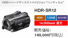 HDR-SR12
