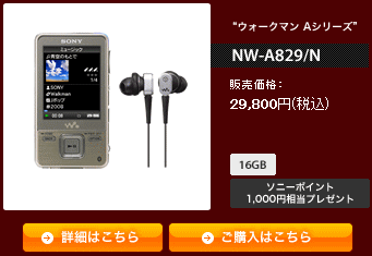 ソニー ウォークマン Aシリーズ NW-A829/N