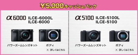 α6000 α5100